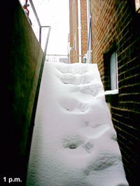 my stairs